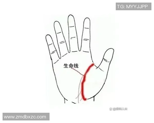 探索上海足球明星的手相秘密与人生轨迹的独特联系 探索上海足球明星的手相秘密与人生轨迹的独特联系