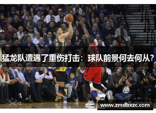 猛龙队遭遇了重伤打击：球队前景何去何从？